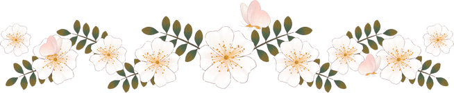 Soft Painting White Wild Rose Flower Line Border